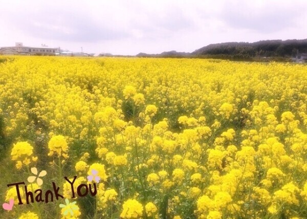 4/26✳︎お礼♡