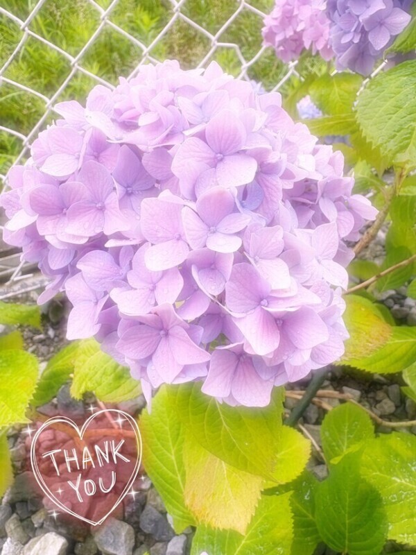 6/7✳︎お礼♡