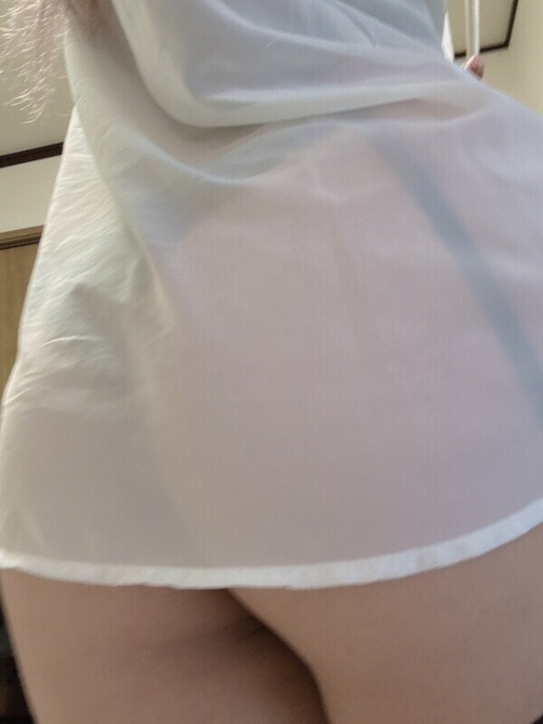 今日は