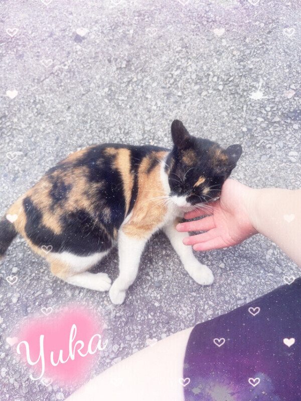 ぎゅってして、よしよしして💗