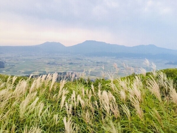 私の地元(*´˘`*)♥