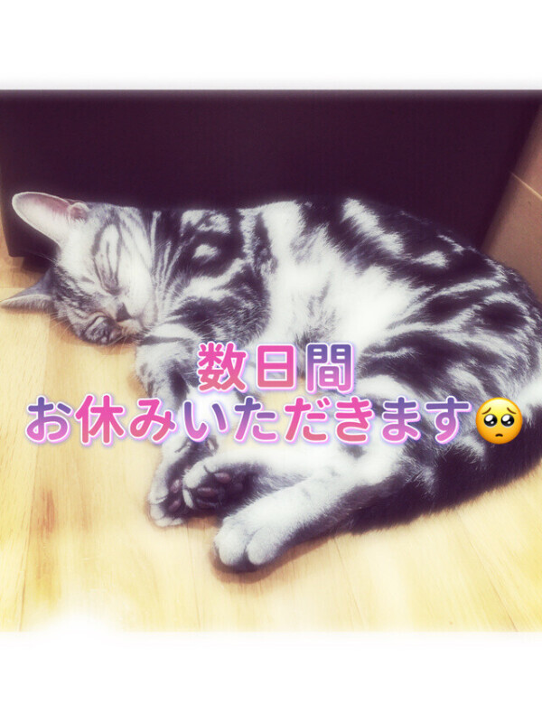 来ちゃいました🥺💦