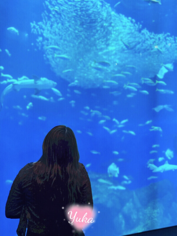 青い光の中で、こっそり乱れたい夜🌙