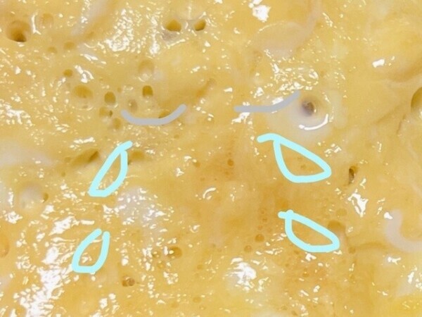 🐈おやすみっ！