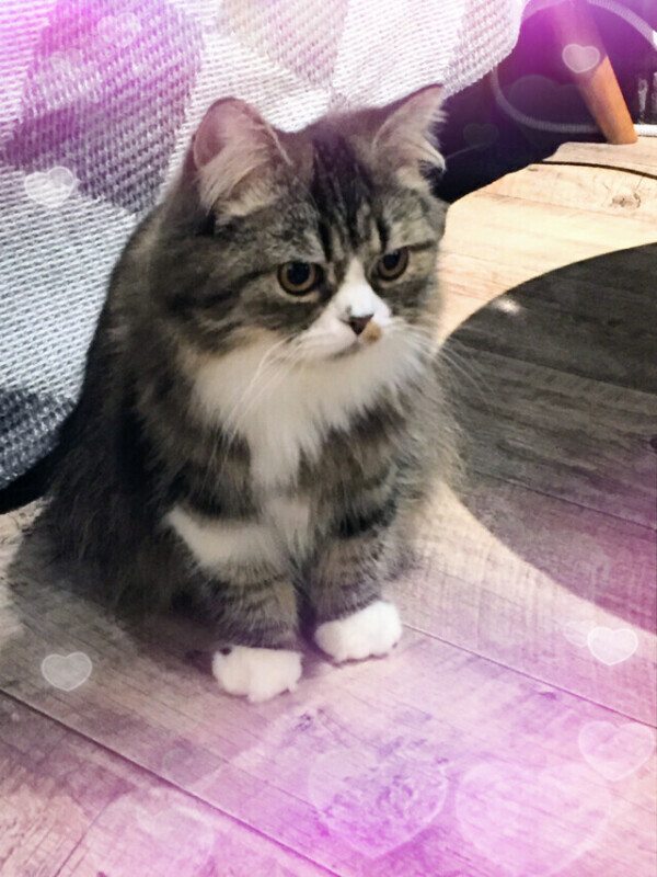 シフト変更のお知らせ⁺◟🌰