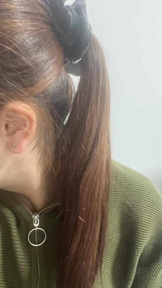 ポニーテールとシュシュ