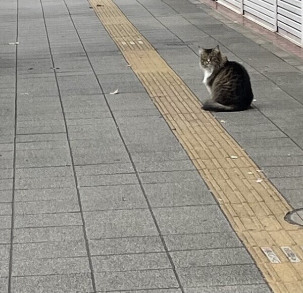 お詫びとお知らせ☺︎