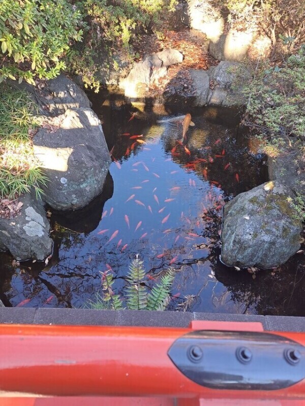 「魂の色は何色ですか」