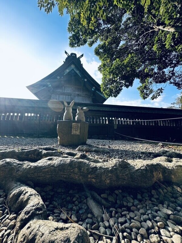 お礼︎💕︎︎💕︎まさかの…！