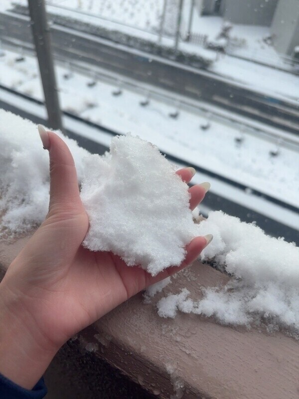 雪やばみ‼️‼️‼️‼️‼️