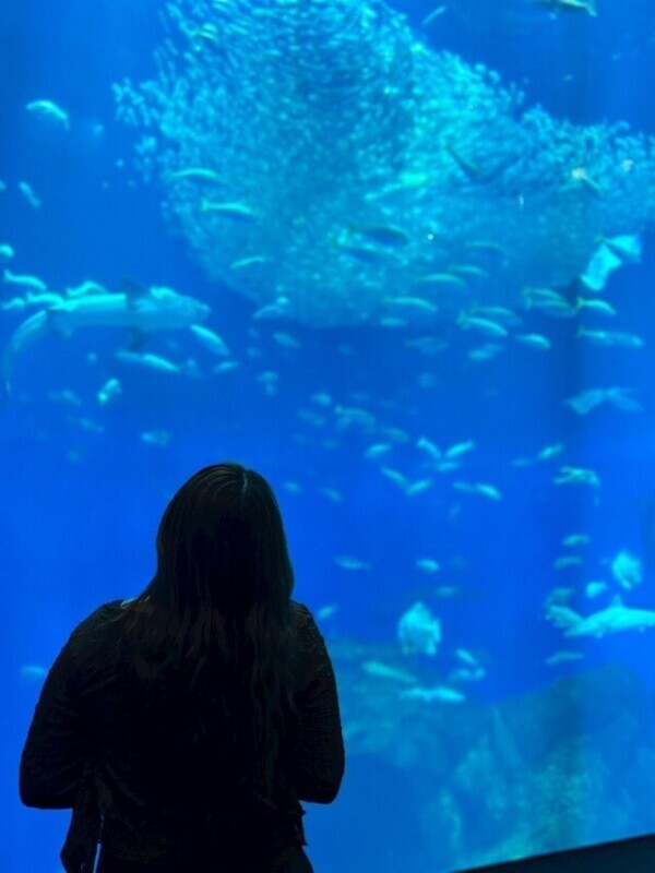 明日甘えていいですか？💞