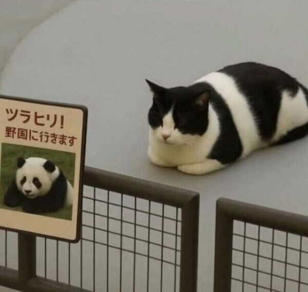 1月10日︎💕ふたりならオナニーしないで寝れるね︎💕