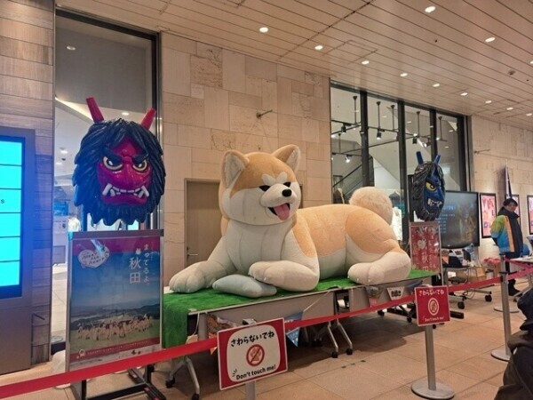 昨日からごめんなさい💦