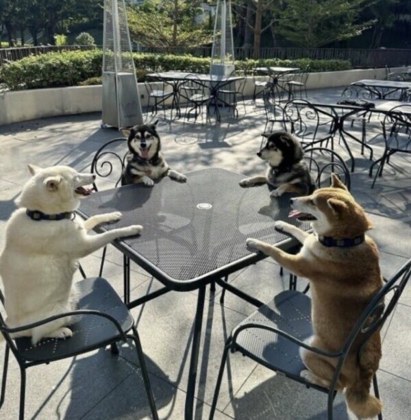 年下さんに褒められると///🙈💕