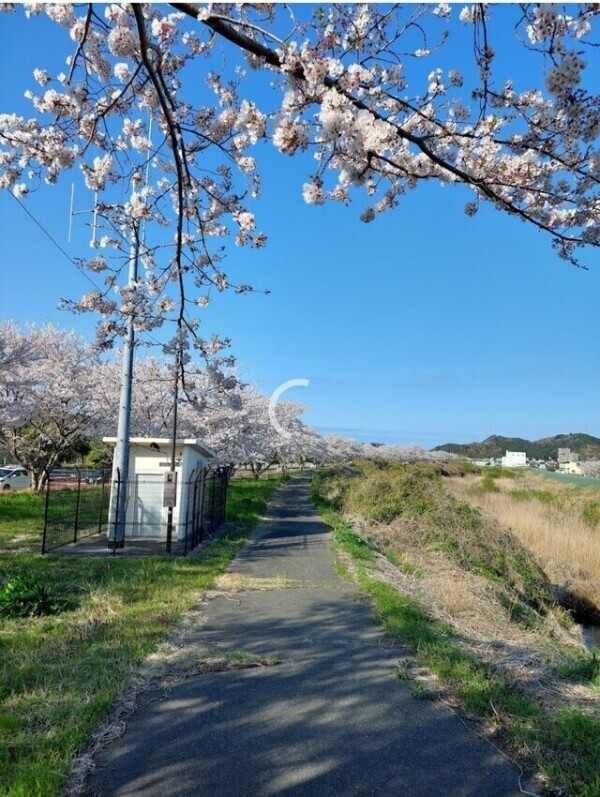 💕‪春の風のにおいがした💕‪