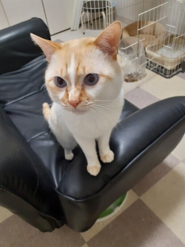 壁に寄りかかり隊😂の謎...