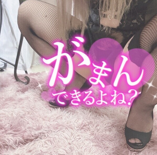 今週の空き枠のお知らせ🐾