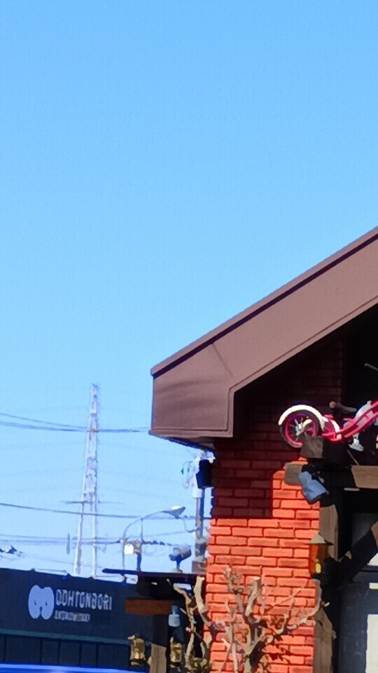 今日は初撮影( ⊃🌹⊂ )