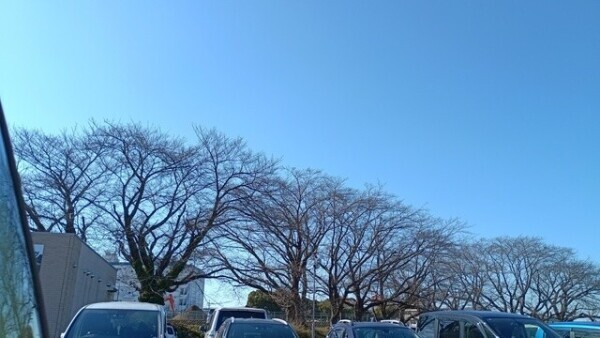 今向かってますよー- ̗̀( ˶^ᵕ'˶)b