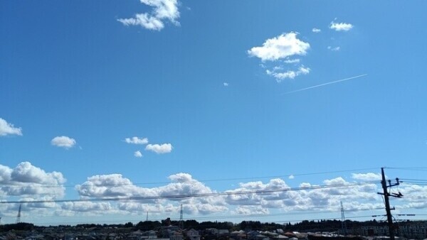 ⊂('ω'⊂ )))Σ≡ﾑｶｯﾃﾏｽ！