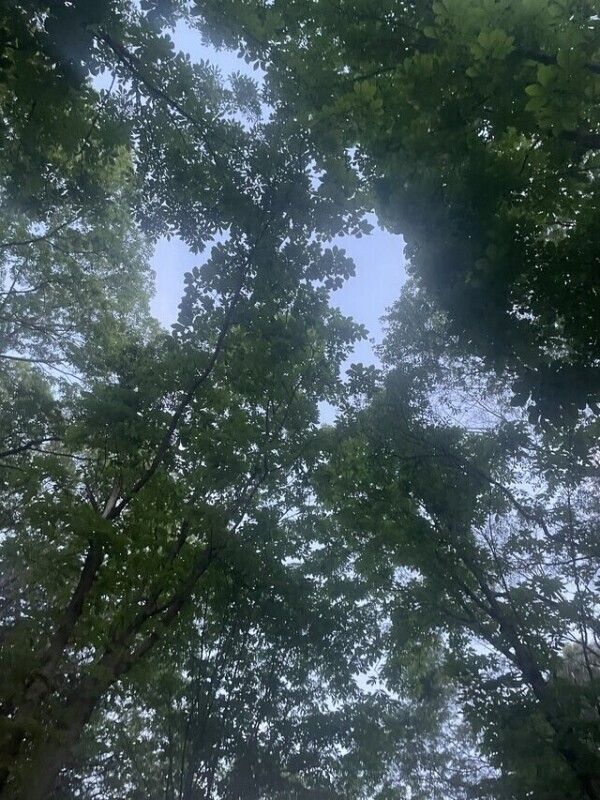 〇〇りん.📍本日ご予約満了しておりますᵗᑋᵃᐢᵏ ᵞᵒᵘ ¨̮