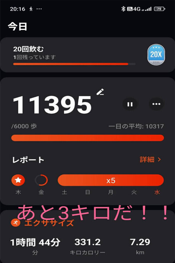 趣味は散歩です！！