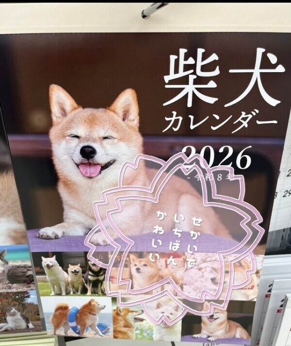 💕土曜の夜なので💕