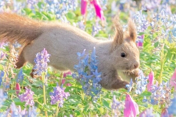 ドコよりも早い✨GW出勤情報✨