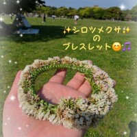 かな