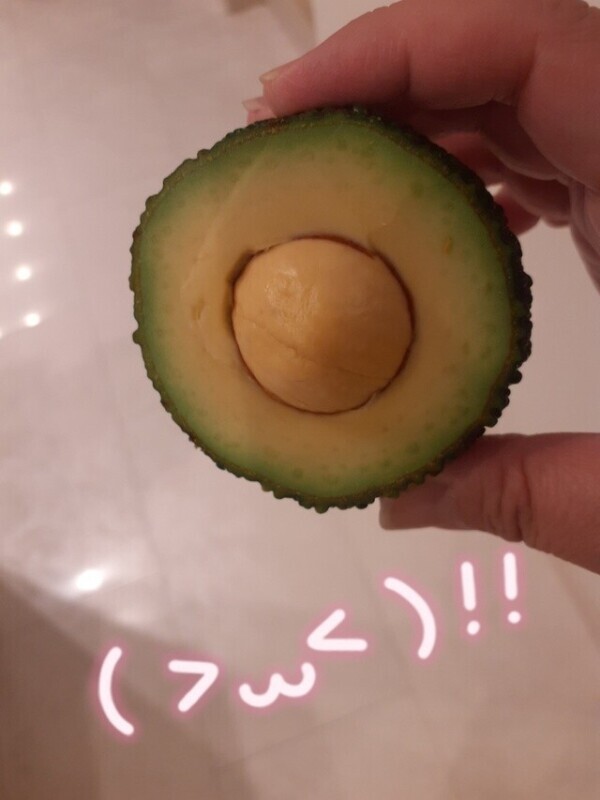 悲しきアボカド🥑事件😱😱