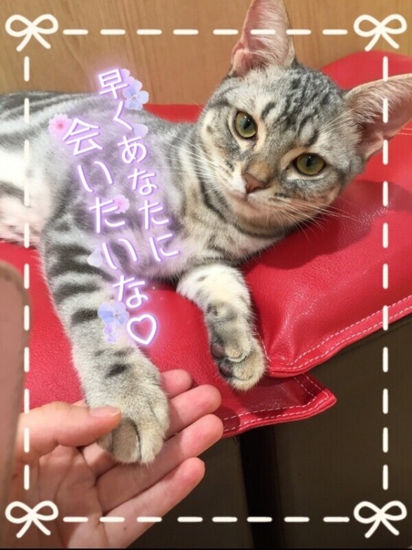月曜、解禁です🥺🌹