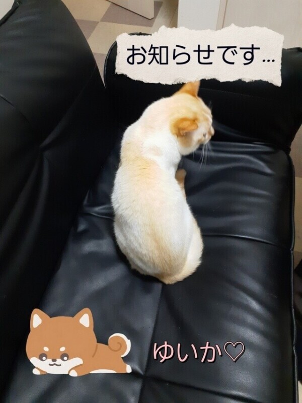 大切な皆様へ