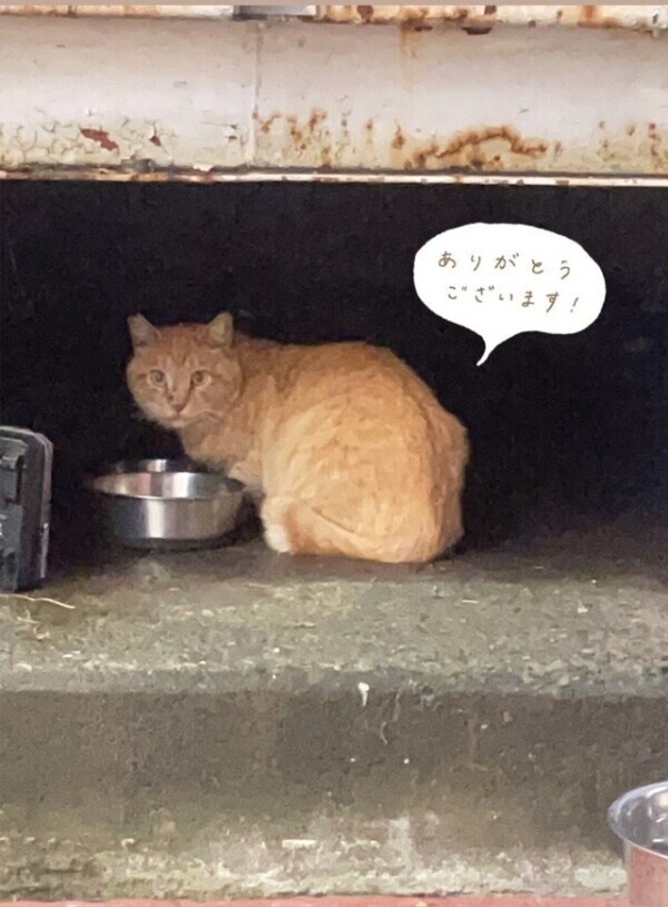 ご予約ありがとうございます☺︎