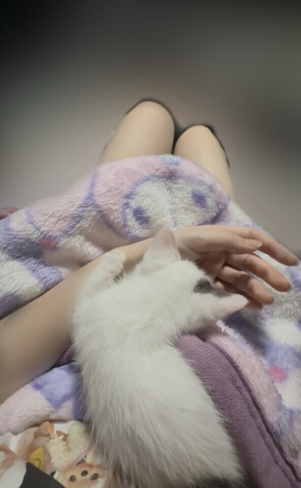 偉いねᐡっ ̫ ᴗ ̳ᐡ