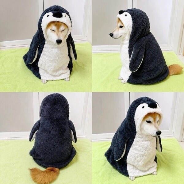 ︎💕︎︎💕︎意外とリコはできちゃいます