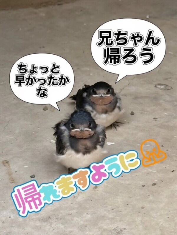 生きてると時々ある選択