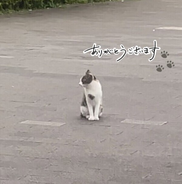 11日のご予約ありがとうございます☺︎