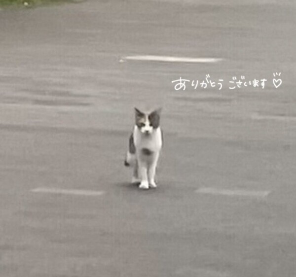 ご予約ありがとうございます☺︎
