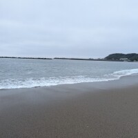 西浦みつき