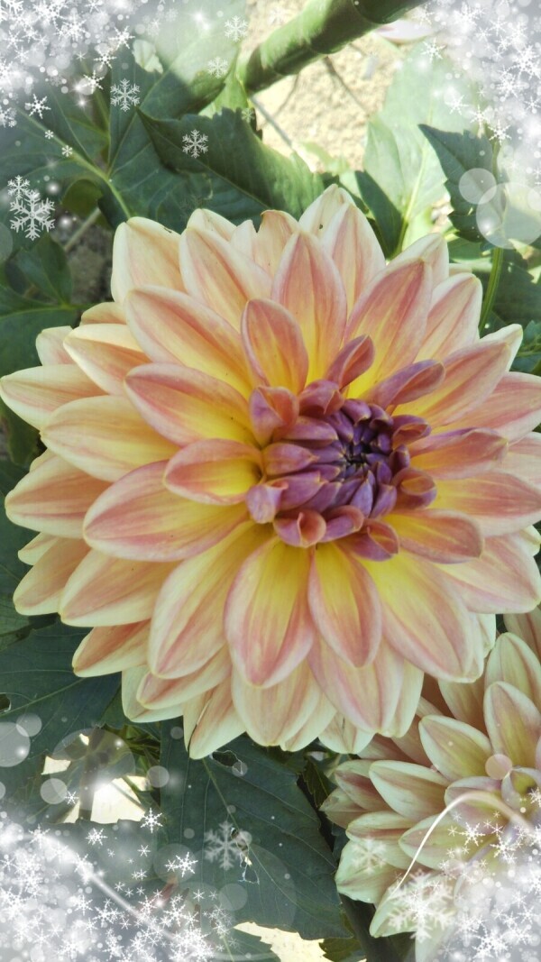 １０時から出勤😆