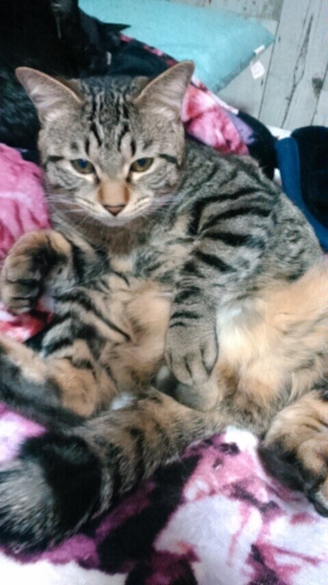 出勤してるよ🎵