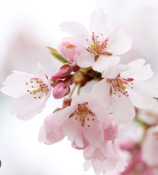 はじめまして❣️水野です🌺