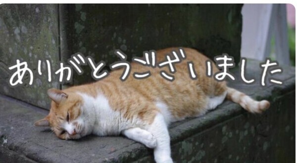 ご自宅Y様🌺ありがとうございました❣️