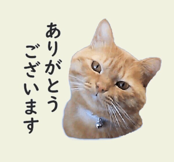 ホテルKI🌺W様🌺ありがとうございました❣️