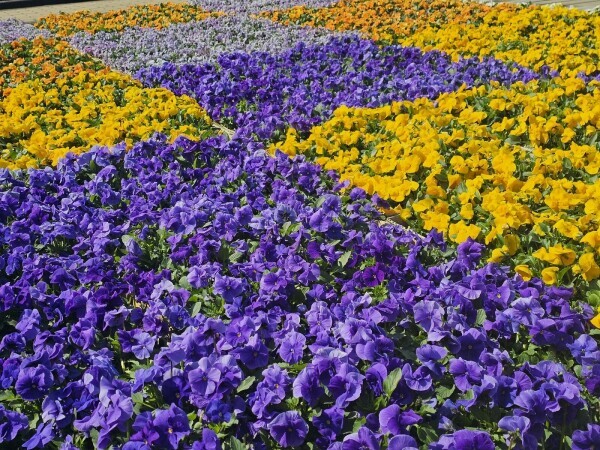 １０時から出勤です✨