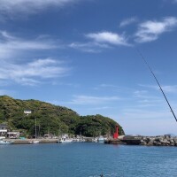 結局。。。🙇‍♀️