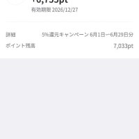 6月のポイント✌