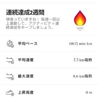 本日は軽くランニング🏃