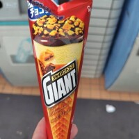 本日のおやつ🍦
