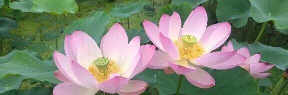 出勤します